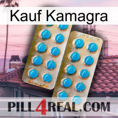 Purchase Kamagra new08